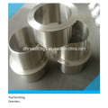 Seamless ANSI B16.9 Stainless Steel Stub End